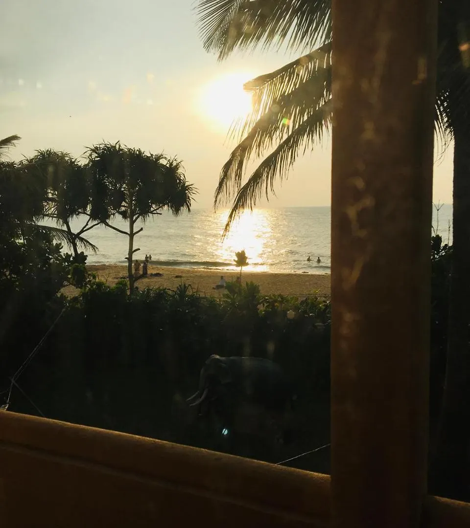 ****  Golden Sunset Ξενοδοχείο Νεγκόμπο Σρι Λάνκα
